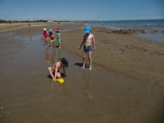 strand4kinder140510