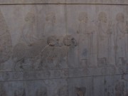 persepolis6widder141010