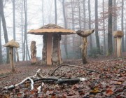 pilzlehrpfad-rees141205