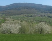 eggenertal13blauen150419