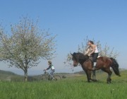 eggenertal14galopp150419