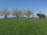 eggenertal15galopp-bike150419