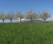 eggenertal16weiss150419