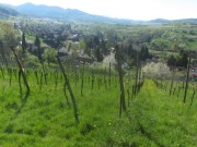 eggenertal1feldberg150419