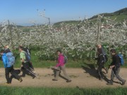 eggenertal2feldberg150419