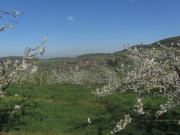 eggenertal3feldberg150419