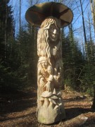 waldhaus10mycelium150412