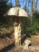 waldhaus13pilz150412