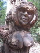 waldhaus23waldmenschen150412