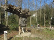 waldhaus2wonnhalde150410