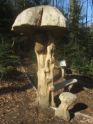 waldhaus4pilzweg150412