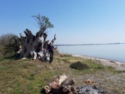 reichenau-konstanz20200403