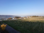 reichenau-schweiz20200403