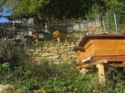 trockenmauer5garten-bienen151021