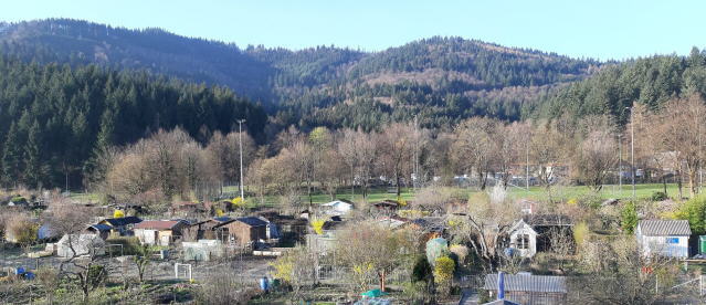 Waldquartier "Waldsee": Blick nach Süden zum Walddobel hinter dem Forsthaus im April 2019