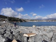 dianomarina4-200218