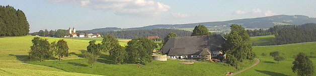 Blick von der R�merstrasse �ber den Fallerhof am 15.8.2002