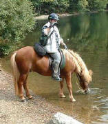 Am Feldsee im Sp�tsommer 2002. Foto: isi-aktuell.de