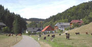 Blick ins Wittental nach Norden mit Andresenhof rechts 8/2003