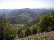 Blick vom Hohkelch (1264 m) nach S�den zu Belchenh�fe und ins Wiesental mit Neuenweg