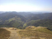Blick vom Rapsfelsen nach S�den ins Tal der kleinen Wiese 