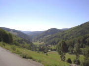 Blick nach S�den von den Belchenh�fen nach Neuenweg
