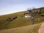 Blick nach Westen zum Griesbenhof am 21.11.2003