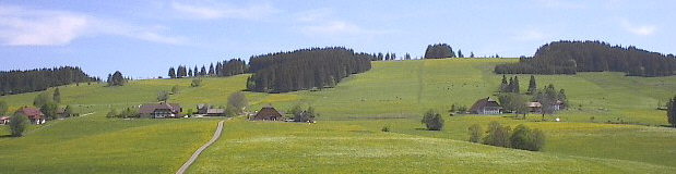 Breitnau-Fahrenberg im Mai 2003 - Jockelshof, Mathislehof, Eckerhof 