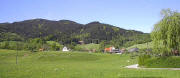 Blick vom Löwen (Trauerweide rechts) ins Geroldstal am 1. Mai 2003