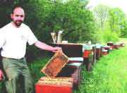 Wolfgang Zähringer, Bienensachverständiger aus Zastler 2003