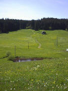 Zipfelhannesenhäusle im Mai 2003 im Spriegelsbach