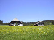 Zipfelhannesenhof im Mai 2003