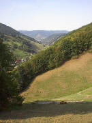Blick vom Gipfhof ob Spielweg nach S�dwesten und St.Trudpert am 19.8.2003