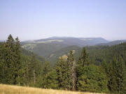 Blick vom Lachenhäusle nach Nordwesten ins Tal der Wilden Gutach im Juni 2003 - rechts Kaspeleshäusle im Ferndobel