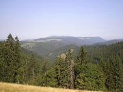 Blick vom Lachenh�usle ins Tal der Wilden Gutach