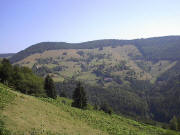 Blick vom Strässchen Oberrollsbach-Laitenbach nach Norden auf Graben/Lailehöhe - oben der Panoramaweg zum Knöpflesbrunnen