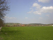 Blick nach Norden vom Radweg Breisach-Burkheim auf Burkheim am 15.4.2004