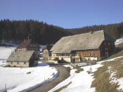 Blick nach Norden zum Gfellhof am 21.2.2004