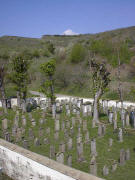 Jüdischer Friedhof 500 m südlich von Ihringen - Blick nach Norden im April 2004