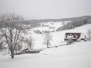 Blick �ber den Schachenbauernhof nach Unter-Schw�rzenbach am19.1.2004