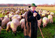 Sch�fer Gehri 3/2004 - Foto Hautli