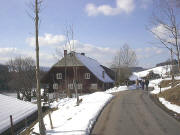 Blick nach Westen zum Tonihof am 1.3.2004