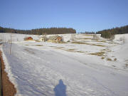Blick nach Osten zum Widiwandhof ob Waldau am 21.2.2004