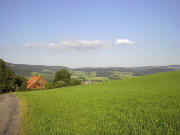 Blick nach Osten �ber das Hornhofh�usle nach St. Peter am 29.7.2004
