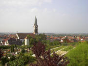 Blick nach Südwesten auf Ihringen am 9.8.2004