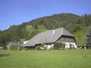 Blick nach Westen zum Saierhof am 1.8.2004