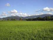 Blick vom Dreisamtal zwischen Stegen und Ebnet nach S�dosten zu Hinterwaldkopf (Mitte) und Tiote Mann (rechts) am 30.8.2004