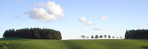 Blick nach Süden zum Zwerisberg bei St.Märgen am 22.8.2004
