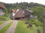 Blick nach S�den zum Bergh�usle am 25.5.2004