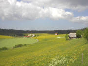 Blick nach Westen zu Holzh�uslehof rechts und Holzhof Mitte am 28.5.2004